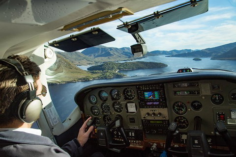 Southwest Tasmania Wilderness Experience: Fly Cruise And Walk Including Lunch - Whitsundays Accommodation 6