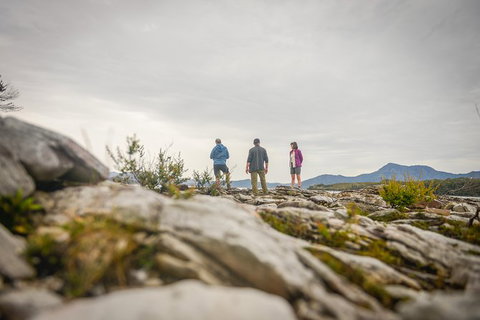 Southwest Tasmania Wilderness Experience: Fly Cruise And Walk Including Lunch - Whitsundays Accommodation 5