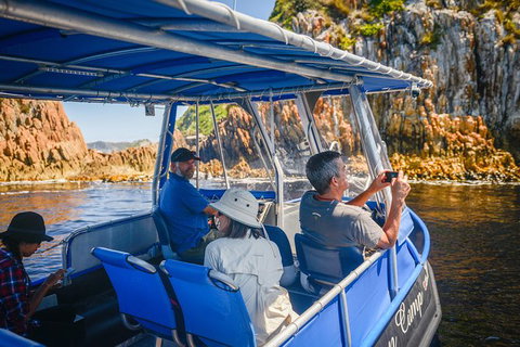 Southwest Tasmania Wilderness Experience: Fly Cruise And Walk Including Lunch - Whitsundays Accommodation 11
