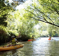 Paddle with the Platypus Twilight Kayak Adventure - Whitsundays Accommodation