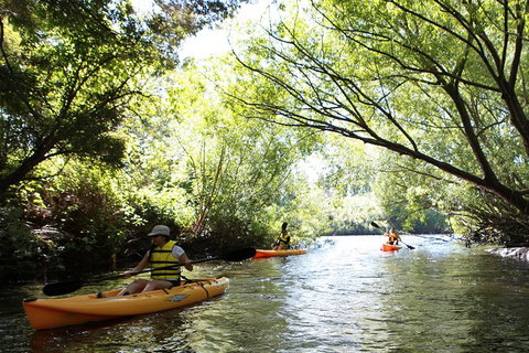 Paddle With The Platypus Twilight Kayak Adventure - Whitsundays Accommodation 0