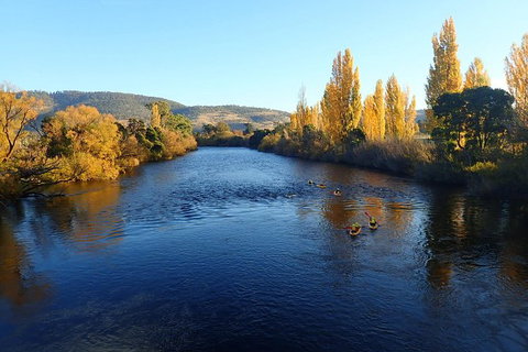 Paddle With The Platypus Twilight Kayak Adventure - Whitsundays Accommodation 3