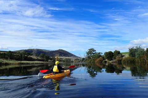 Paddle With The Platypus Twilight Kayak Adventure - Whitsundays Accommodation 5