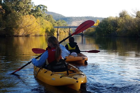 Paddle With The Platypus Twilight Kayak Adventure - Whitsundays Accommodation 1