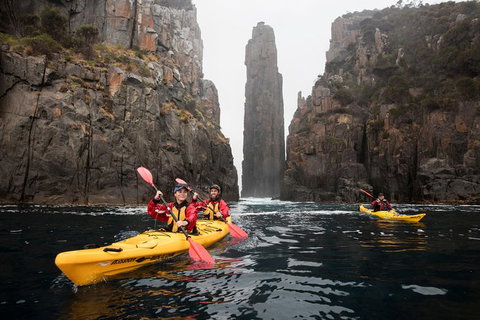 Tasman Peninsula Full Day Kayaking Tour - Whitsundays Accommodation 6