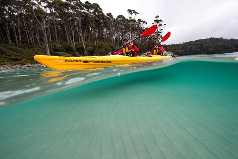Tasman Peninsula Full Day Kayaking Tour - Whitsundays Accommodation 5