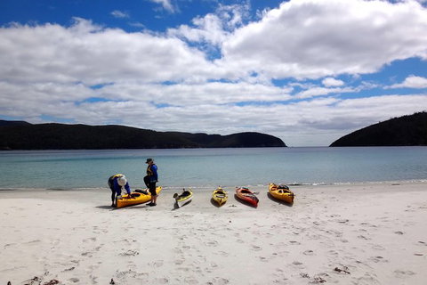 Tasman Peninsula Full Day Kayaking Tour - Whitsundays Accommodation 3