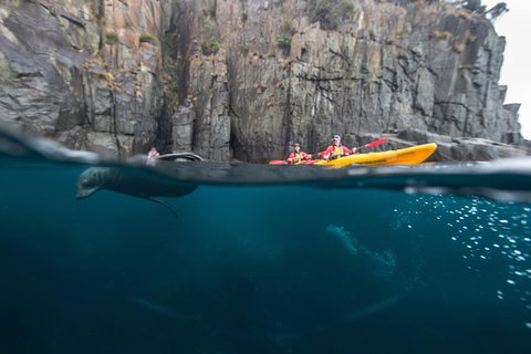 Tasman Peninsula Full Day Kayaking Tour - Whitsundays Accommodation 0