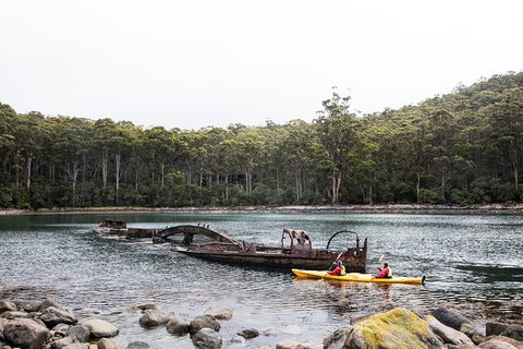 Tasman Peninsula Full Day Kayaking Tour - Whitsundays Accommodation 2