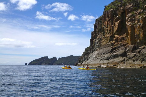 Tasman Peninsula Full Day Kayaking Tour - Whitsundays Accommodation 4