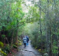 kunanyi/Mt Wellington Explorer Bus - One Way Tour - Whitsundays Accommodation