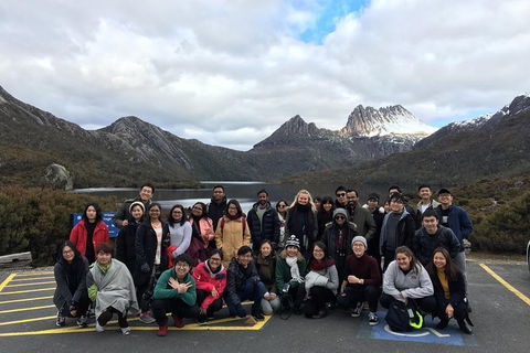 Shore Excursion - Cradle Mountain Day Tour From Burnie - Whitsundays Accommodation 4