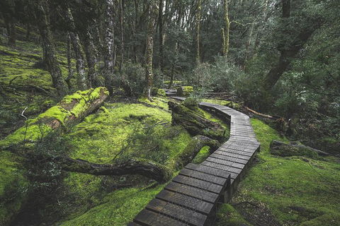 Shore Excursion - Cradle Mountain Day Tour From Burnie - Whitsundays Accommodation 2