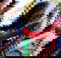 Sunset Experience - Whitsundays Accommodation