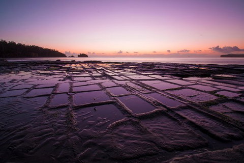Full Day Tour Hobart: Port Arthur McHenry Gins Bangor Vineyard Wines + Oysters - Whitsundays Accommodation 8