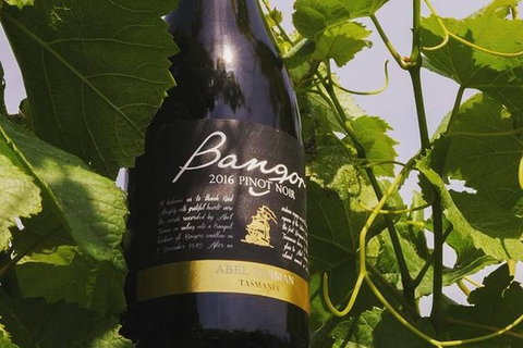 Full Day Tour Hobart: Port Arthur McHenry Gins Bangor Vineyard Wines + Oysters - Whitsundays Accommodation 2