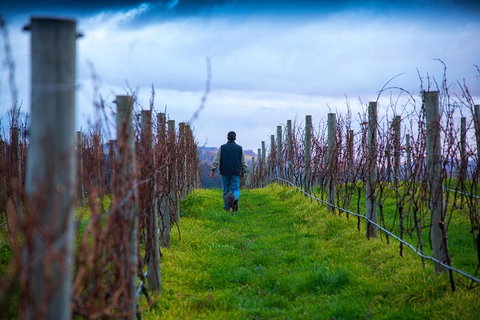 Full Day Tour Hobart: Port Arthur McHenry Gins Bangor Vineyard Wines + Oysters - Whitsundays Accommodation 26