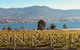 Full Day Tour Hobart: Port Arthur McHenry Gins Bangor Vineyard Wines + Oysters - thumb 22