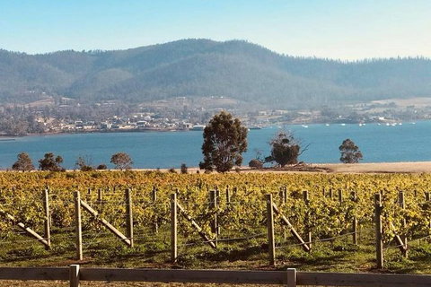 Full Day Tour Hobart: Port Arthur McHenry Gins Bangor Vineyard Wines + Oysters - Whitsundays Accommodation 22