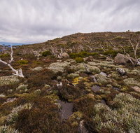 Alpine Loop - Whitsundays Accommodation