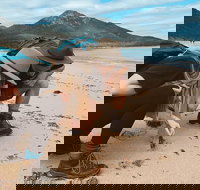 Freycinet Walking Tour - Whitsundays Accommodation