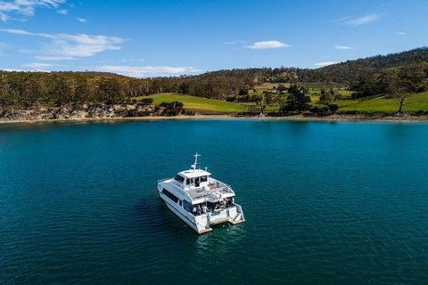 Deep-to-Dish: Tasmanian Seafood Experience - Morning Tour - Whitsundays Accommodation 4
