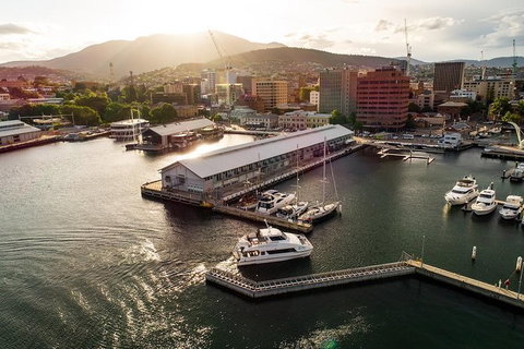 Deep-to-Dish: Tasmanian Seafood Experience - Morning Tour - Whitsundays Accommodation 2