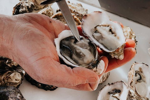 Deep-to-Dish: Tasmanian Seafood Experience - Morning Tour - Whitsundays Accommodation 5
