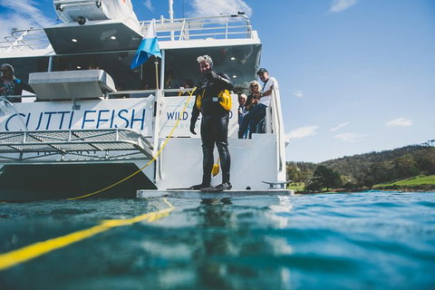 Deep-to-Dish: Tasmanian Seafood Experience - Morning Tour - Whitsundays Accommodation 11