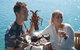 Deep-to-Dish: Tasmanian Seafood Experience - Morning Tour - thumb 0