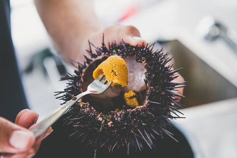 Deep-to-Dish: Tasmanian Seafood Experience - Morning Tour - Whitsundays Accommodation 9