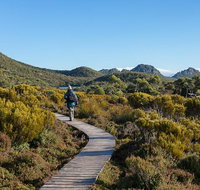 Hartz Mountains premium private photo-oriented day tour from Hobart - Whitsundays Accommodation