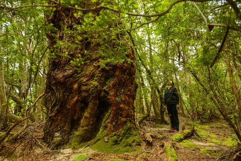3-Day Southwest National Park Wilderness Camping Tour - Whitsundays Accommodation 4