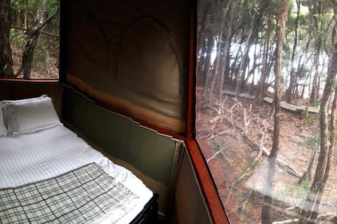 3-Day Southwest National Park Wilderness Camping Tour - Whitsundays Accommodation 7