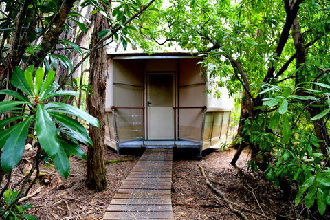 3-Day Southwest National Park Wilderness Camping Tour - Whitsundays Accommodation 2