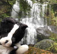 Waterfalls Guided Tour - Whitsundays Accommodation
