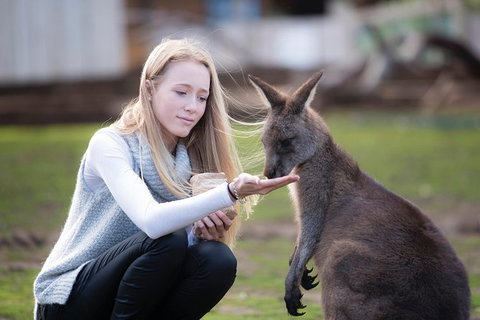 Cruise Ship Special From Hobart: Richmond And Bonorong Wildlife Park Shuttle - Whitsundays Accommodation 4