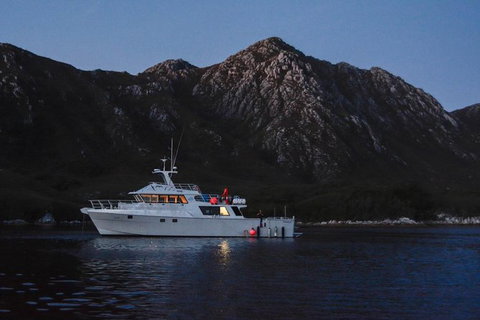5-Day Expedition Of Bathurst Harbour And Port Davey On-Board MV Odalisque From Hobart - Whitsundays Accommodation 1