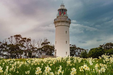 Table Cape Lighthouse Tours - Whitsundays Accommodation 7