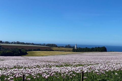 Table Cape Lighthouse Tours - Whitsundays Accommodation 8