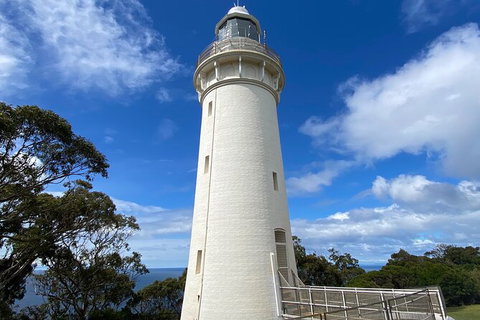 Table Cape Lighthouse Tours - Whitsundays Accommodation 4