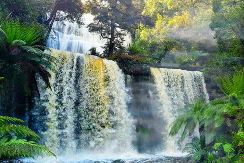 6-Day Tasmania Small-Group Guided Tour With Gourmet Food - Whitsundays Accommodation 9