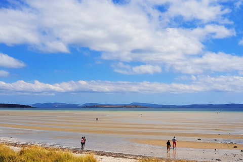 6-Day Tasmania Small-Group Guided Tour With Gourmet Food - Whitsundays Accommodation 7