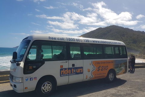 Ride Tours, 2 Day Great Ocean Road Experience - Whitsundays Accommodation 4