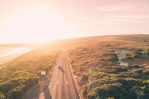 LGBT+ Friendly 2 Day Private Great Ocean Road Tour - Whitsundays Accommodation 1