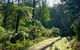 Half-Day Biking Activity From Aqueduct To California Redwoods - thumb 1