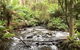 Half-Day Biking Activity From Aqueduct To California Redwoods - thumb 3