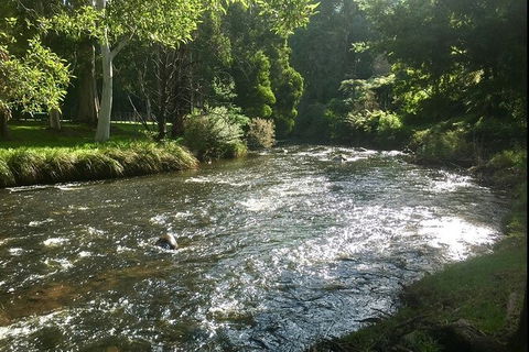 Watertube Experience In Yarra River - Whitsundays Accommodation 3