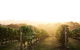 Mornington Peninsula 2-6 Guests Lunch Rare Hare Or Merricks General Wine Store - thumb 2