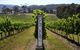 Mornington Peninsula 2-6 Guests Lunch Rare Hare Or Merricks General Wine Store - thumb 5